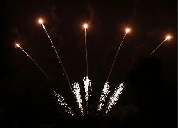 Display 10 Shots Fan Shape Single Row Fireworks Show Celebration